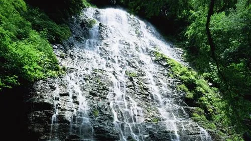 精密独特